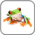 Frogs